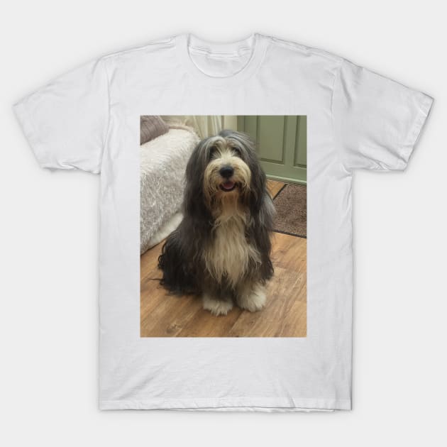 Bearded Collie - Good Boy Beardie T-Shirt by Bucklandcrafts